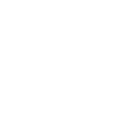 Extensive Vetting & Selection icon